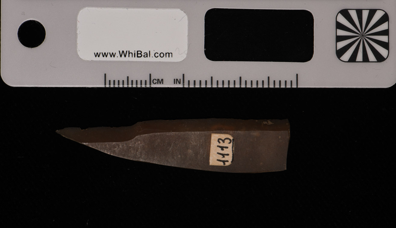 strumento (PERIODIZZAZIONI/ PREISTORIA)