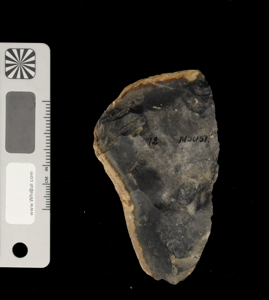 strumento (PERIODIZZAZIONI/ PREISTORIA/ Paleolitico)