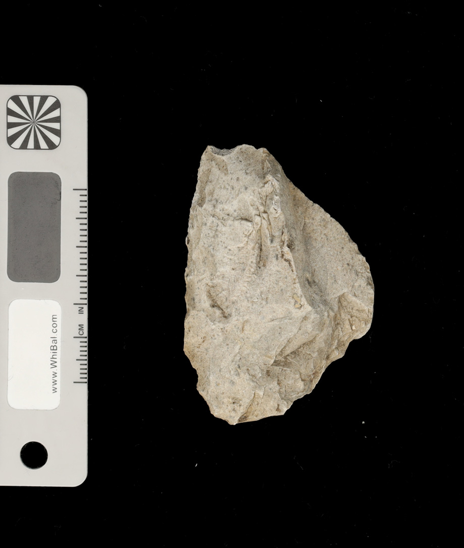 strumento (PERIODIZZAZIONI/ PREISTORIA/ Paleolitico)