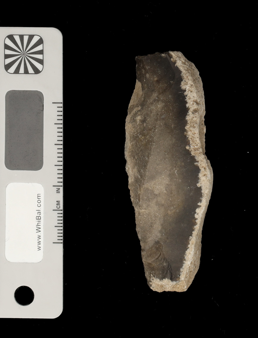 strumento (PERIODIZZAZIONI/ PREISTORIA/ Paleolitico)