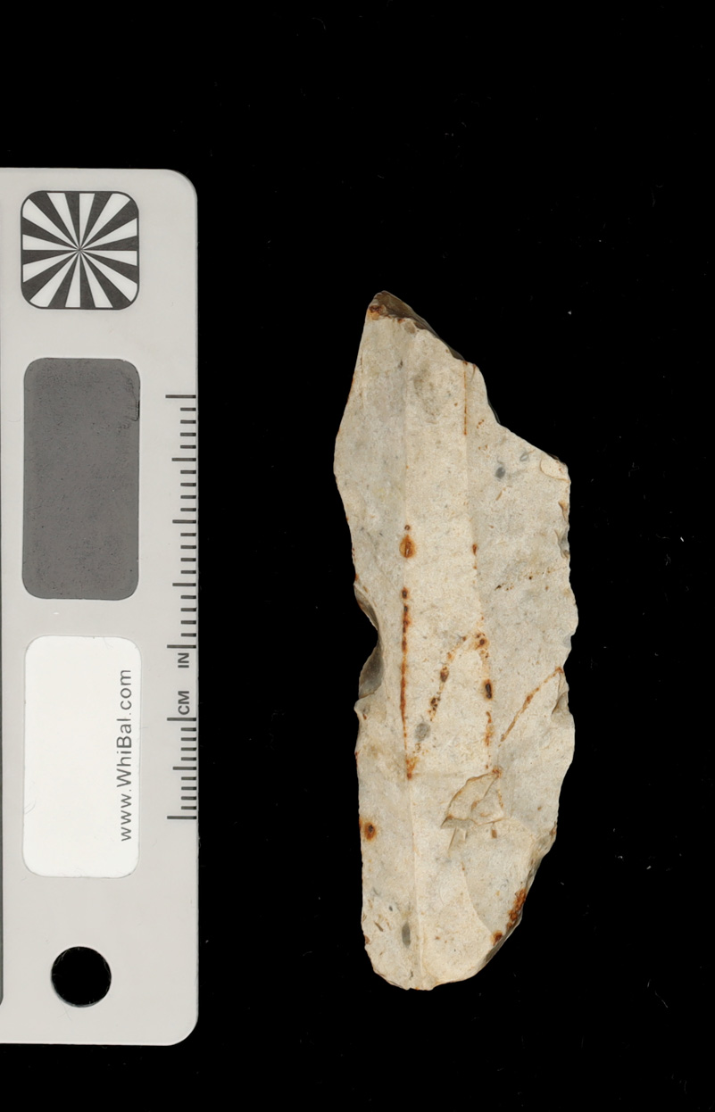 strumento (PERIODIZZAZIONI/ PREISTORIA/ Paleolitico)