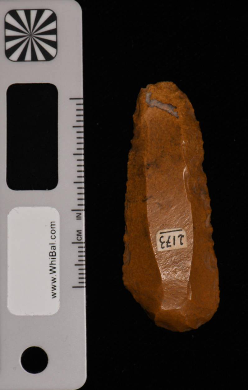 strumento (PERIODIZZAZIONI/ PREISTORIA/ Paleolitico)