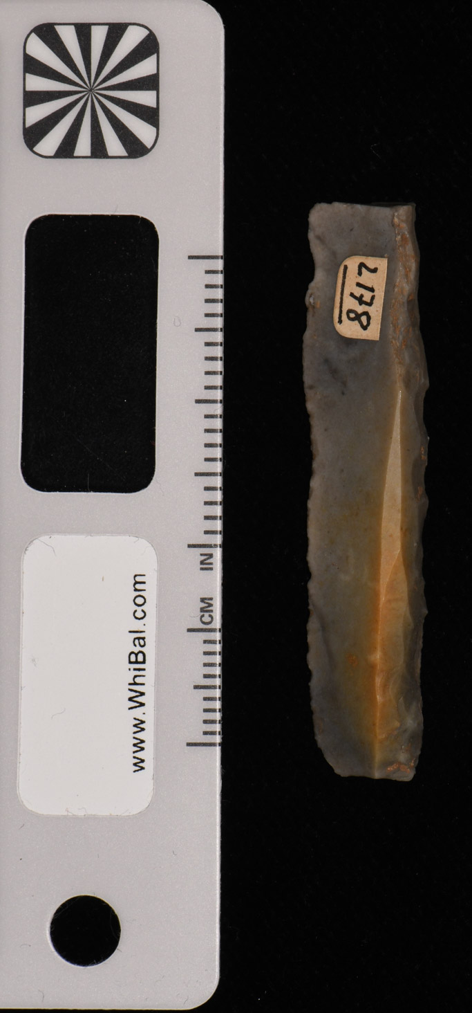 strumento (PERIODIZZAZIONI/ PREISTORIA/ Paleolitico)