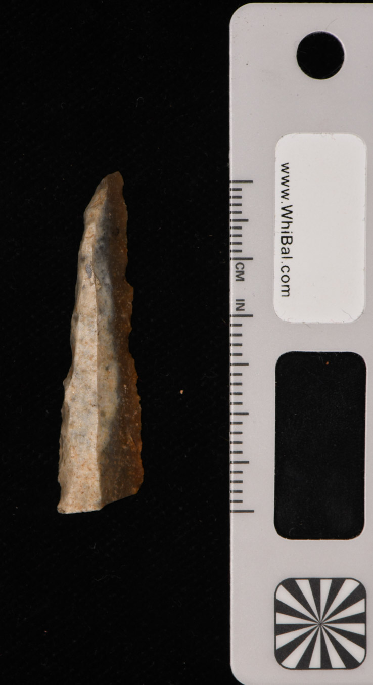 strumento (PERIODIZZAZIONI/ PREISTORIA/ Paleolitico)