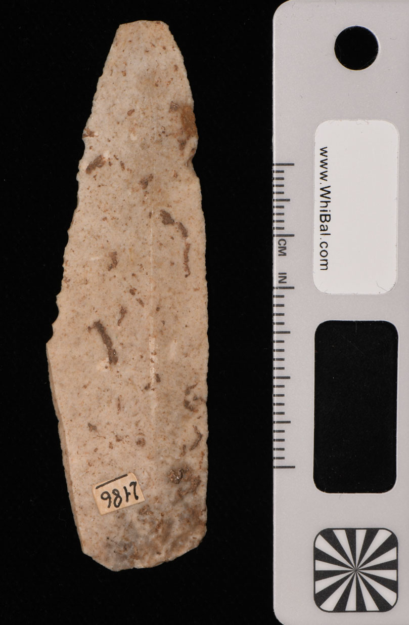 strumento (PERIODIZZAZIONI/ PREISTORIA/ Paleolitico)