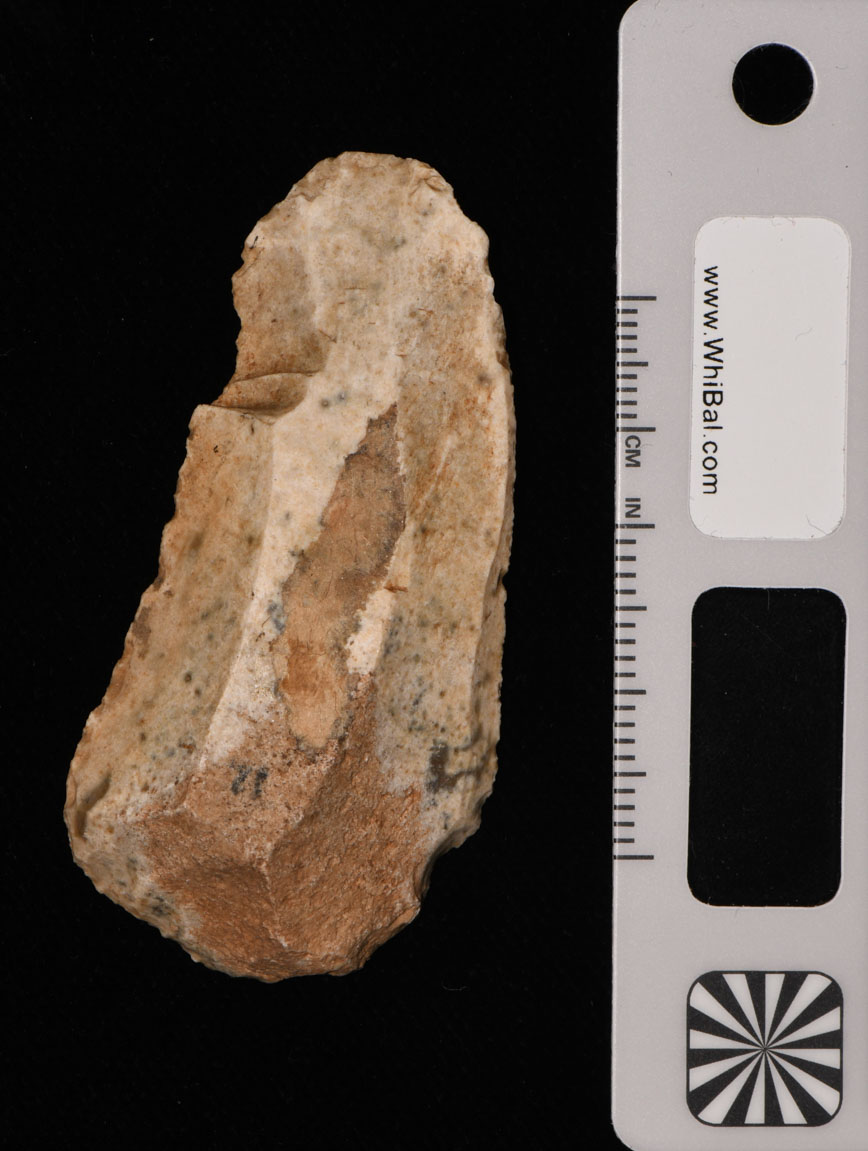 strumento (PERIODIZZAZIONI/ PREISTORIA/ Paleolitico)