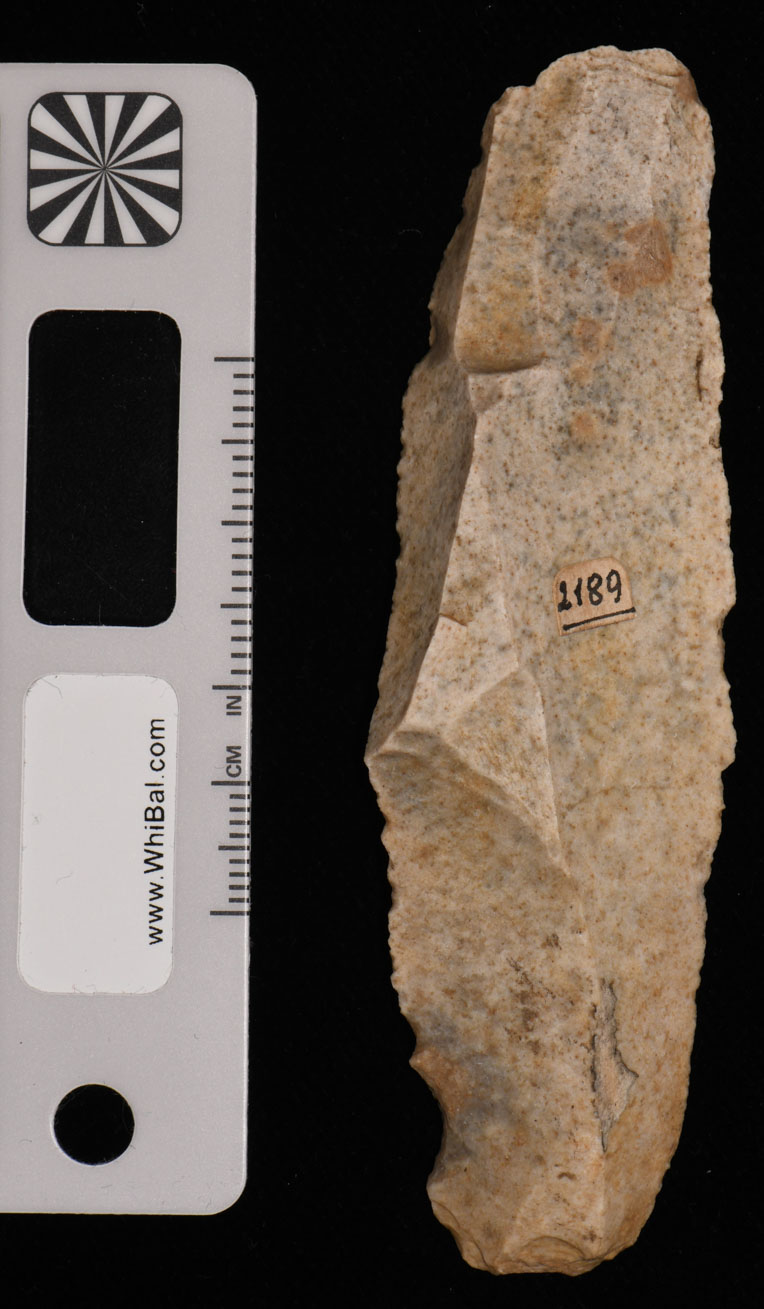 strumento (PERIODIZZAZIONI/ PREISTORIA/ Paleolitico)