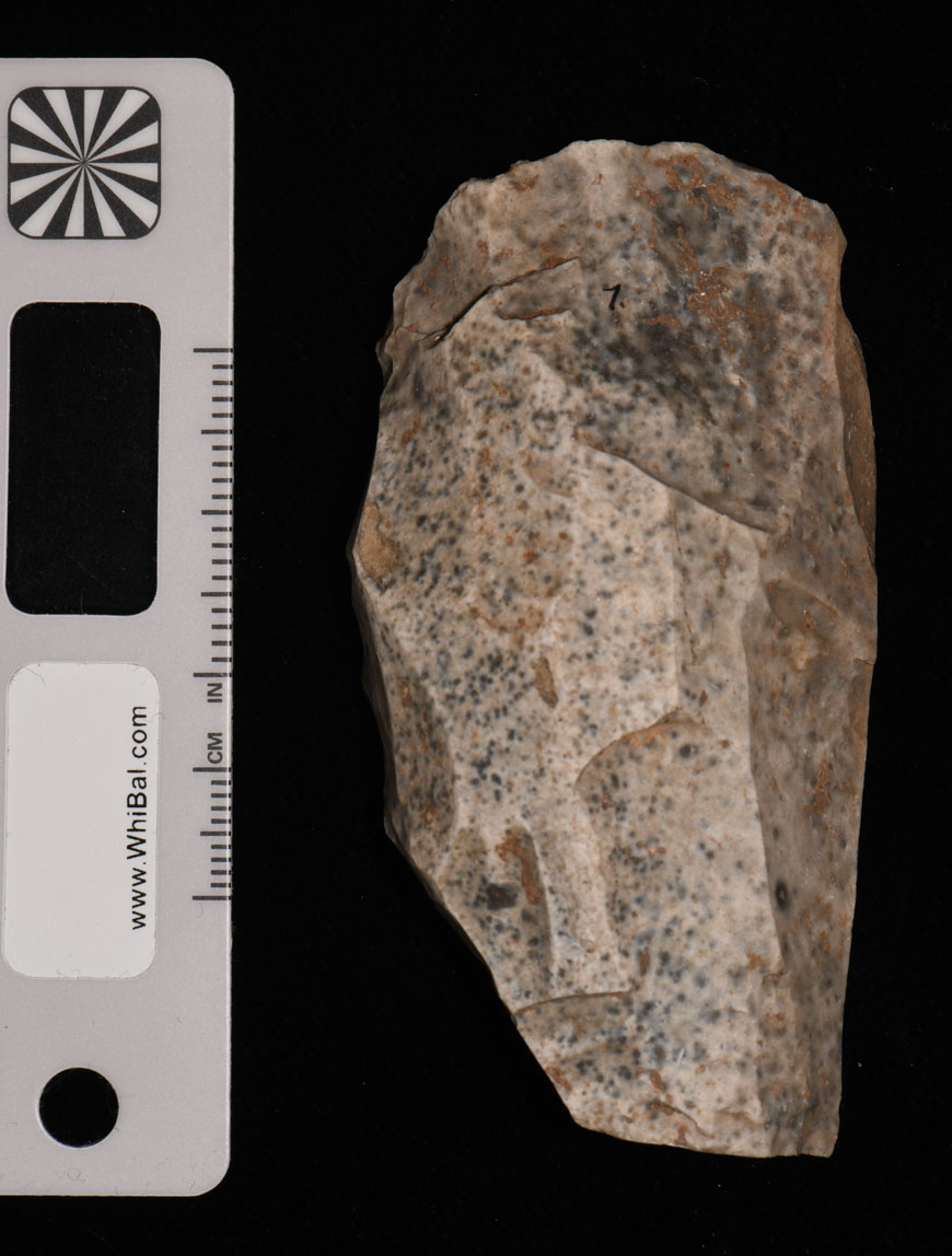 strumento (PERIODIZZAZIONI/ PREISTORIA/ Paleolitico)