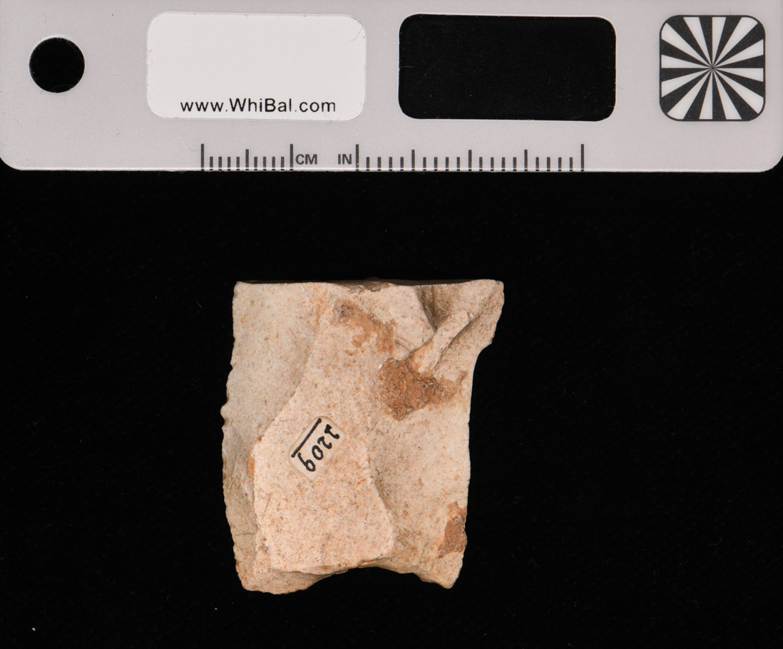 strumento (PERIODIZZAZIONI/ PREISTORIA/ Paleolitico)