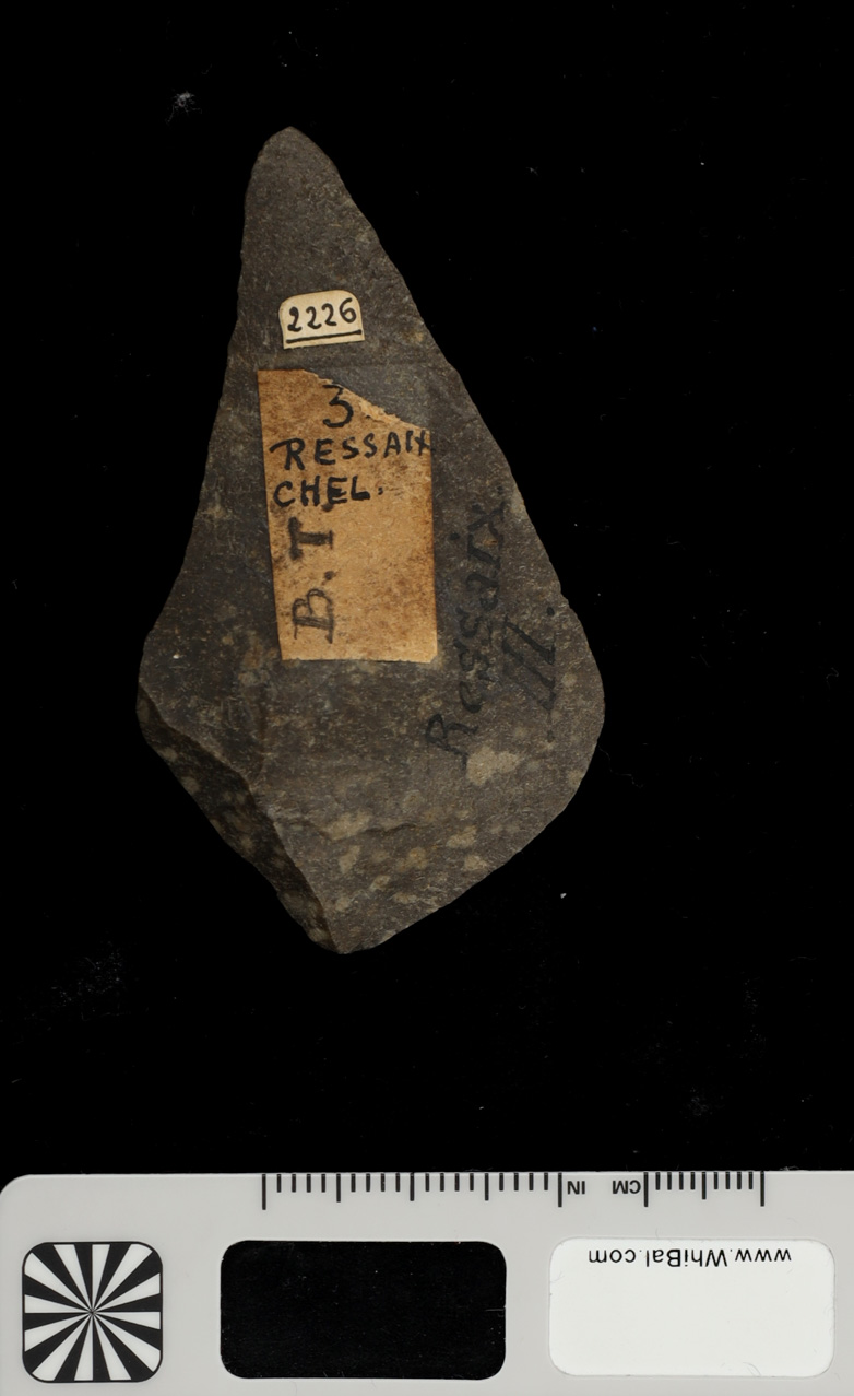 strumento (PERIODIZZAZIONI/ PREISTORIA/ Paleolitico)