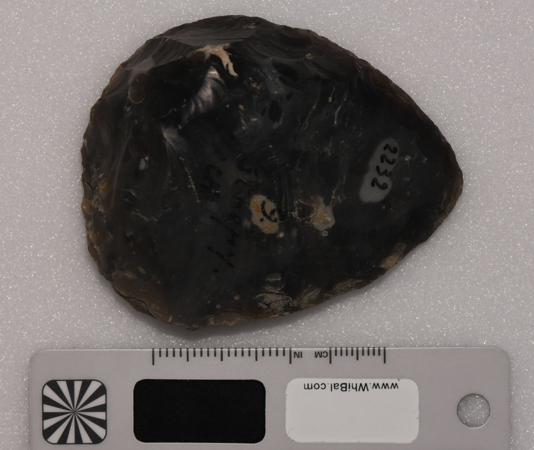 strumento (PERIODIZZAZIONI/ PREISTORIA/ Paleolitico)