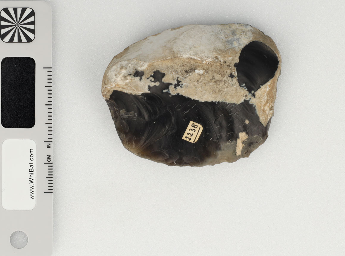 strumento (PERIODIZZAZIONI/ PREISTORIA/ Paleolitico)