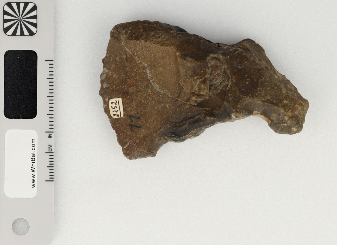 strumento (PERIODIZZAZIONI/ PREISTORIA/ Paleolitico)