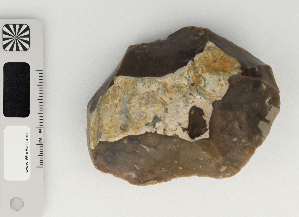 strumento (PERIODIZZAZIONI/ PREISTORIA/ Paleolitico)