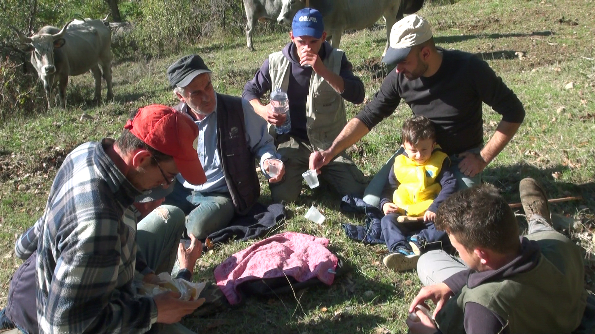 Transumanza di bovini podolici nel territorio di Tricarico: sosta di riposo e di consumo di cibo, TECNICHE