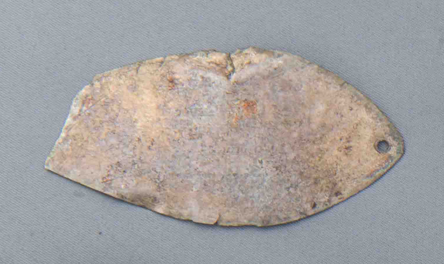 ex voto/ vegetale, Foglia d'argento (SECOLI/ V a.C)