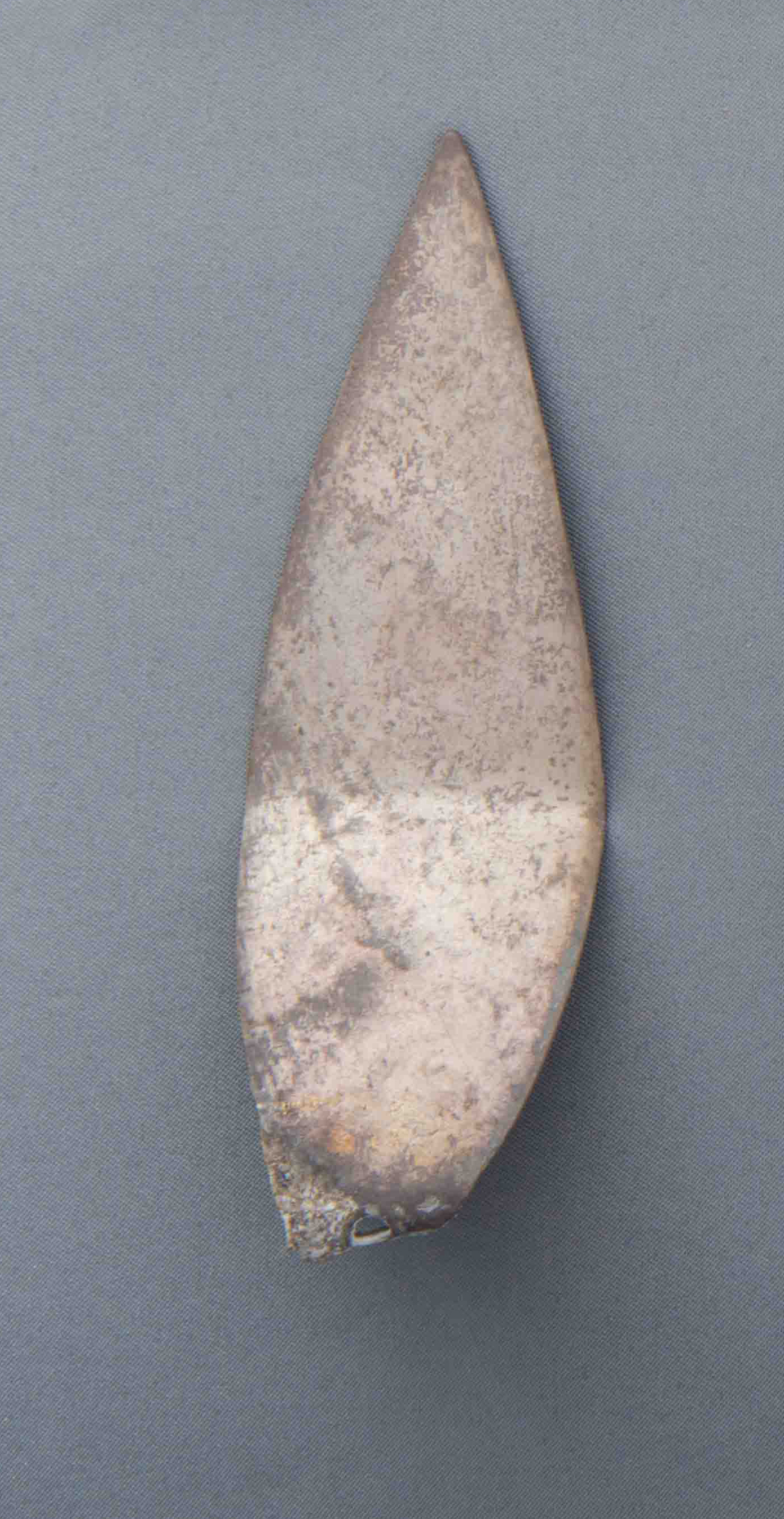 ex voto/ vegetale, Foglia d'argento (SECOLI/ V a.C)