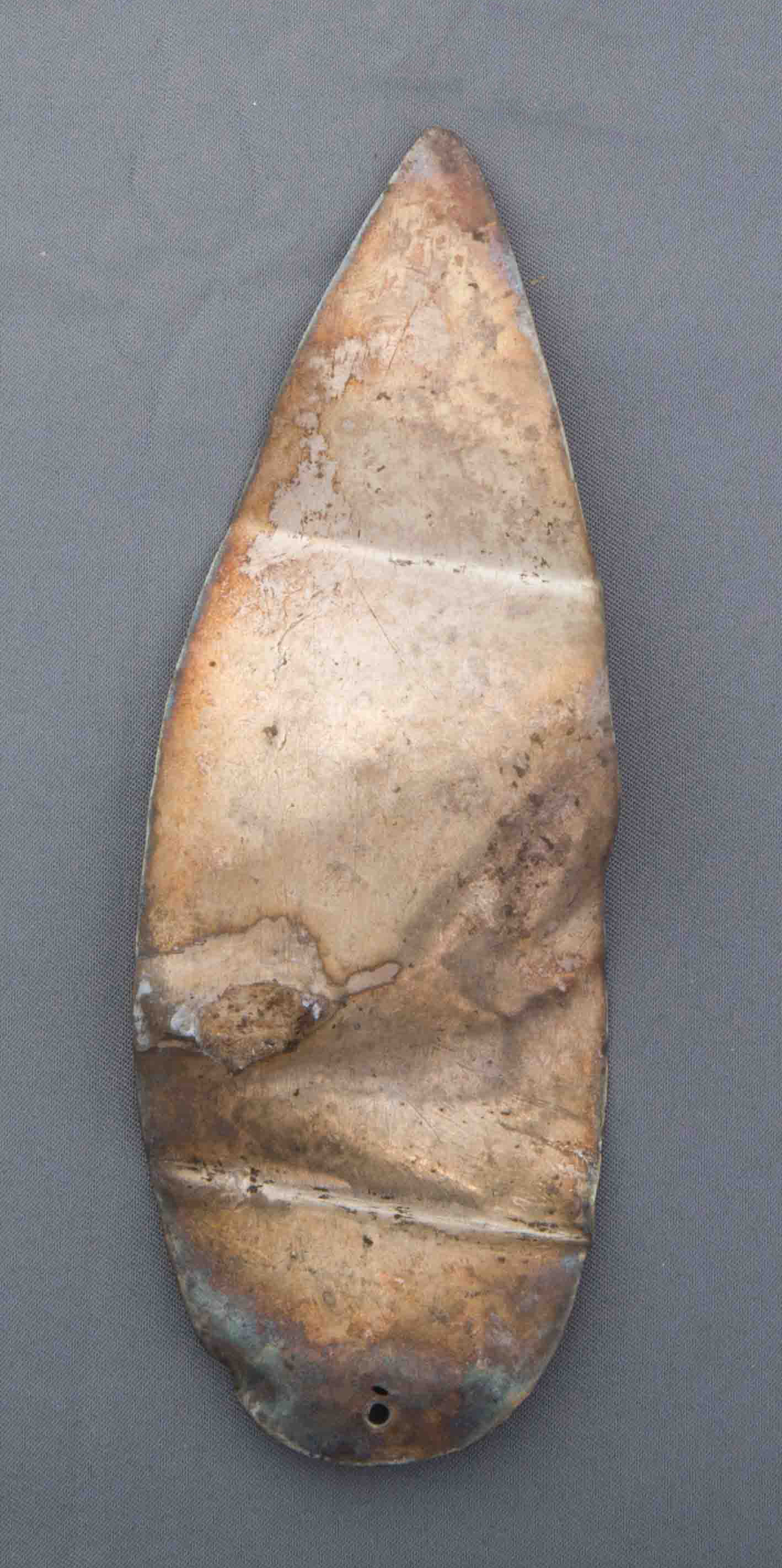 ex voto/ vegetale, Foglia d'argento (SECOLI/ V a.C)