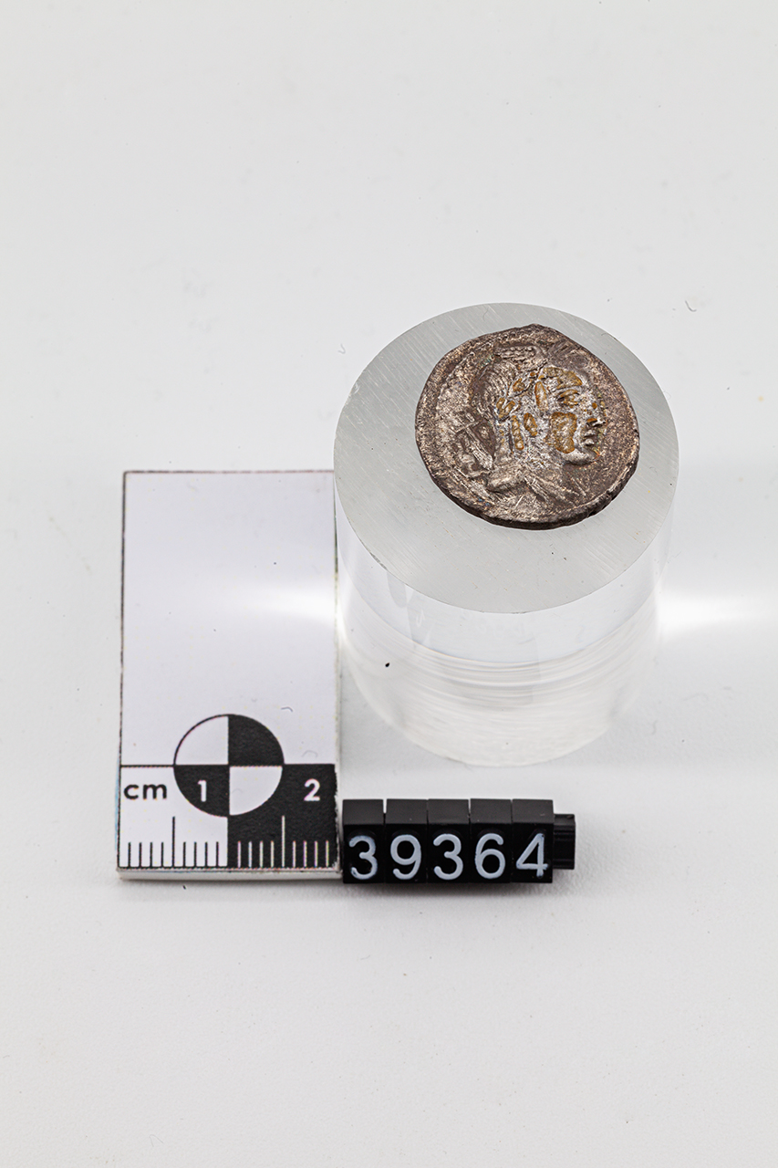 moneta - Denario (SECOLI/ I a.C)