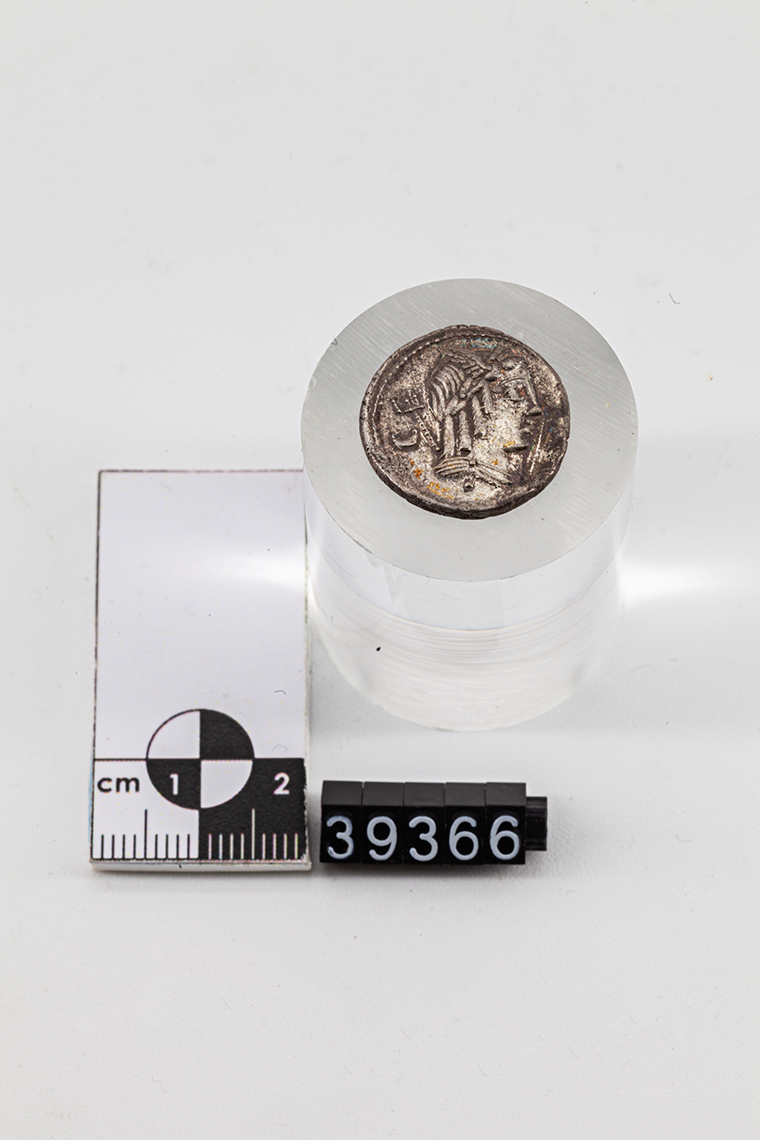 moneta - Denario (SECOLI/ I a.C)