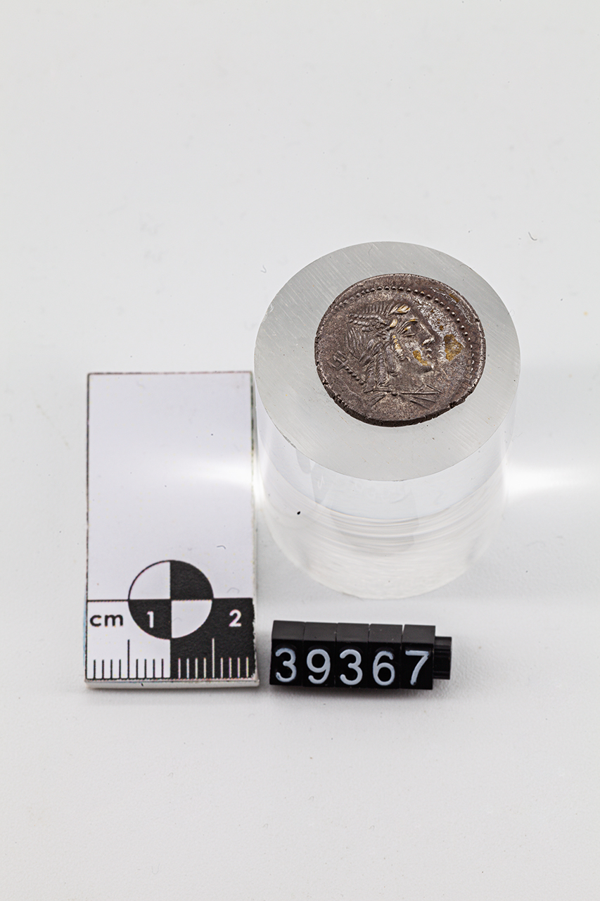 moneta - Denario (SECOLI/ I a.C)