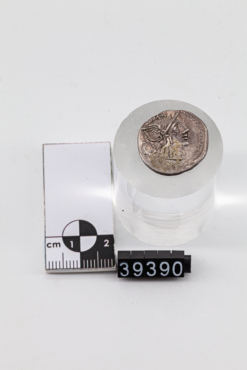 moneta - Denario (SECOLI/ II a.C)
