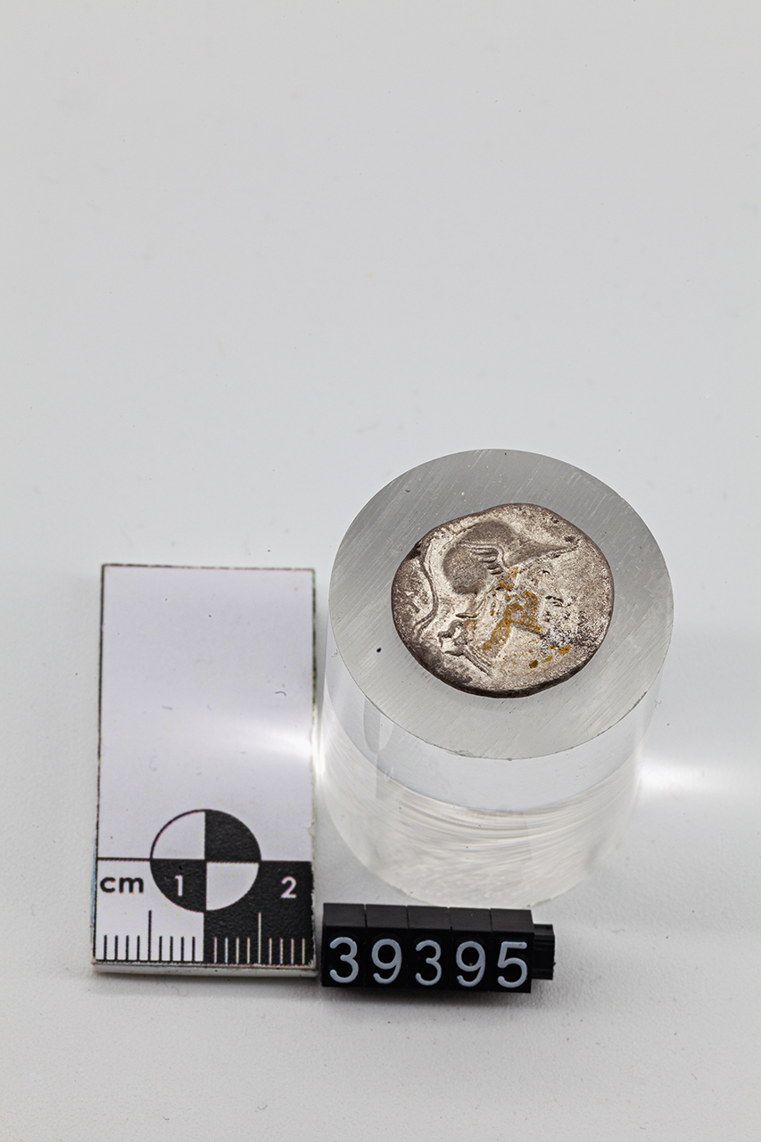 moneta - Denario (SECOLI/ I a.C)