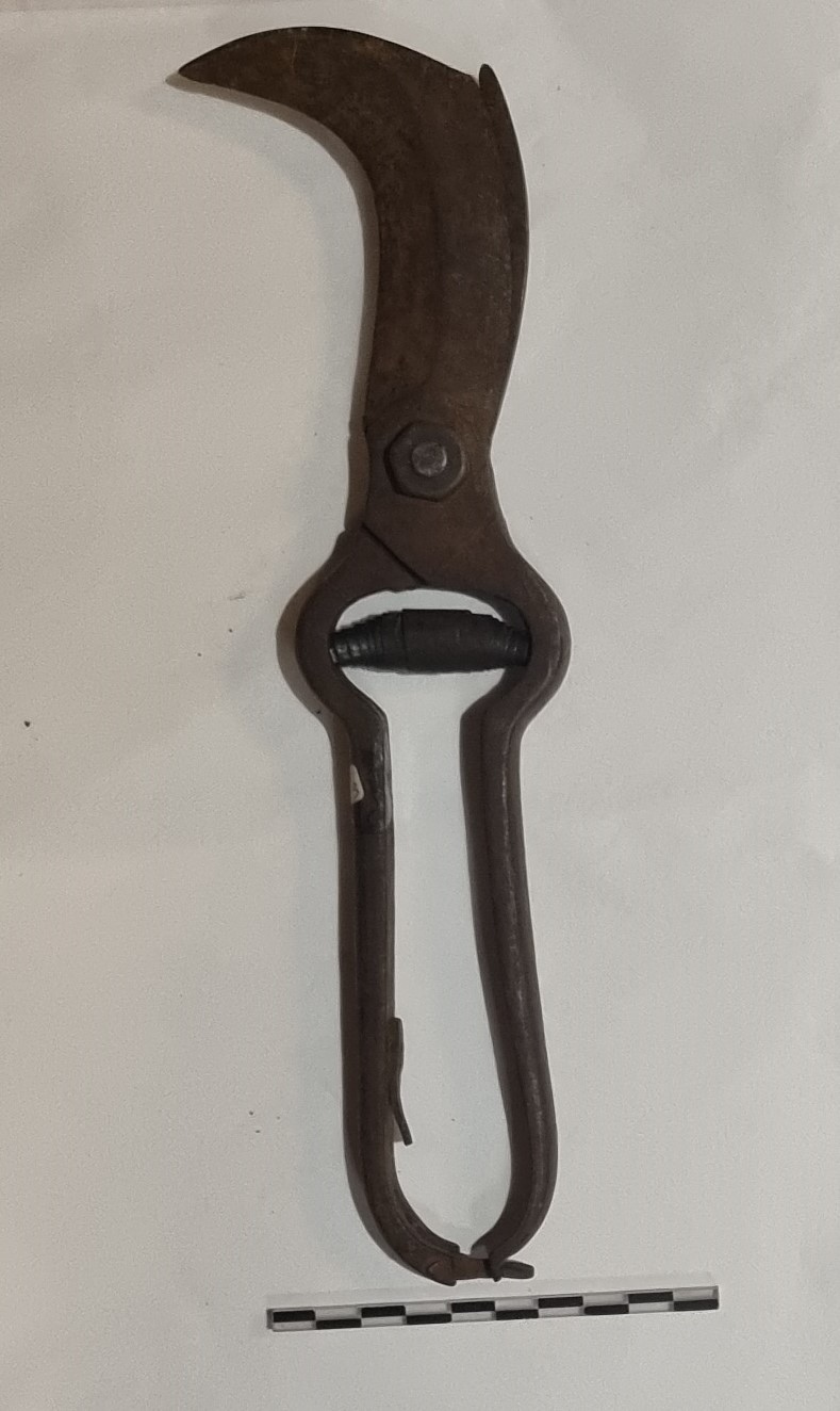 ferrus de pudài (forbice, da potatura, STRUMENTI E ACCESSORI/ AGRO-SILVO-PASTORALI)