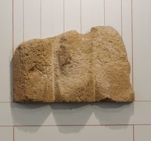 fregio/ dorico, Triglifo (PERIODIZZAZIONI/ STORIA/ Età antica/ Età greca/ Età greca classica)