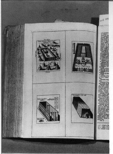 are (stampa, elemento d'insieme) - ambito veneziano (sec. XVIII)