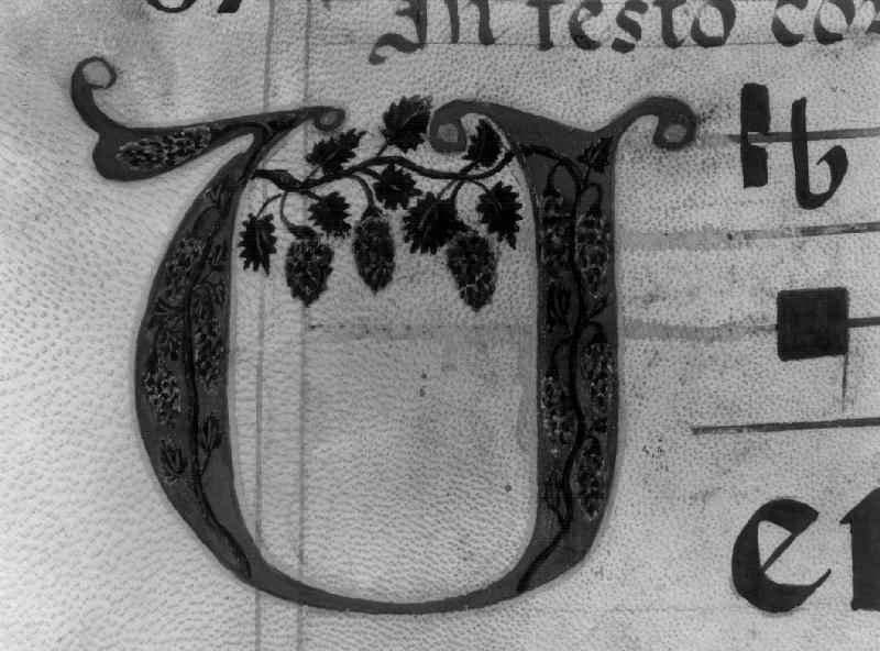 INIZIALE FIGURATA/ LETTERA "V" (MINIATURA) - PRODUZIONE ITALIANA (prima metà SEC. XIX)