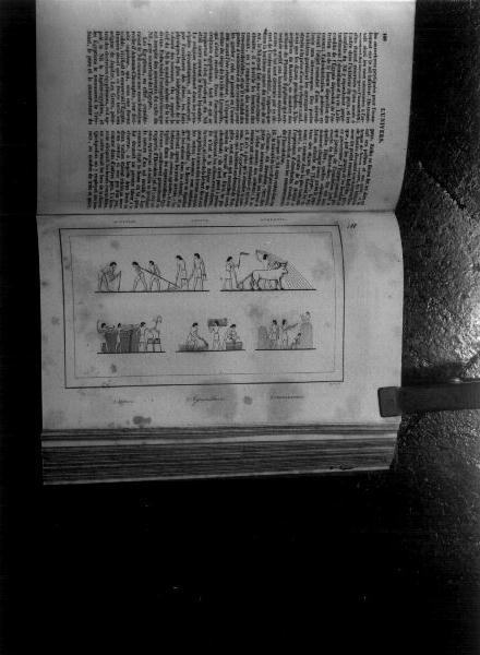 mobili/ immagini di cultura egizia (stampa, elemento d'insieme) di Bigant Jean Baptiste, Lamaitre Clara (sec. XIX)