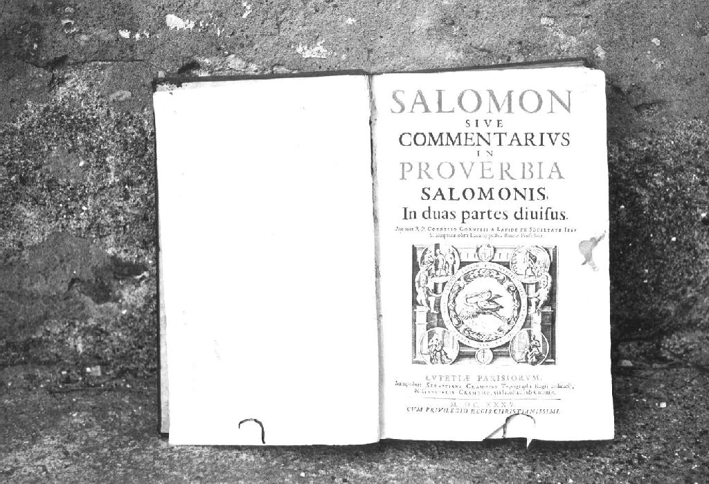 motivi decorativi (stampa) - ambito ligure (sec. XVII)