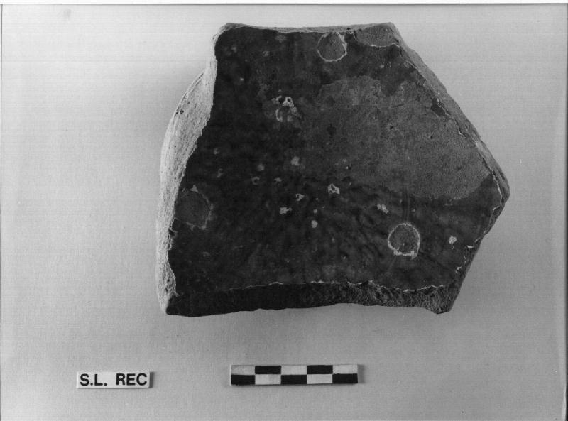 BACINO, frammento (SEC. XII/ XV)