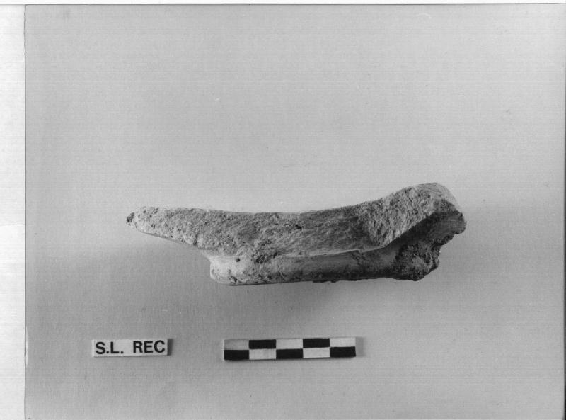 BACINO, frammento (SEC. XII/ XV)