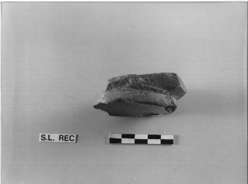 BACINO - MANNONI 67, frammento (secc. XV/ XVI)