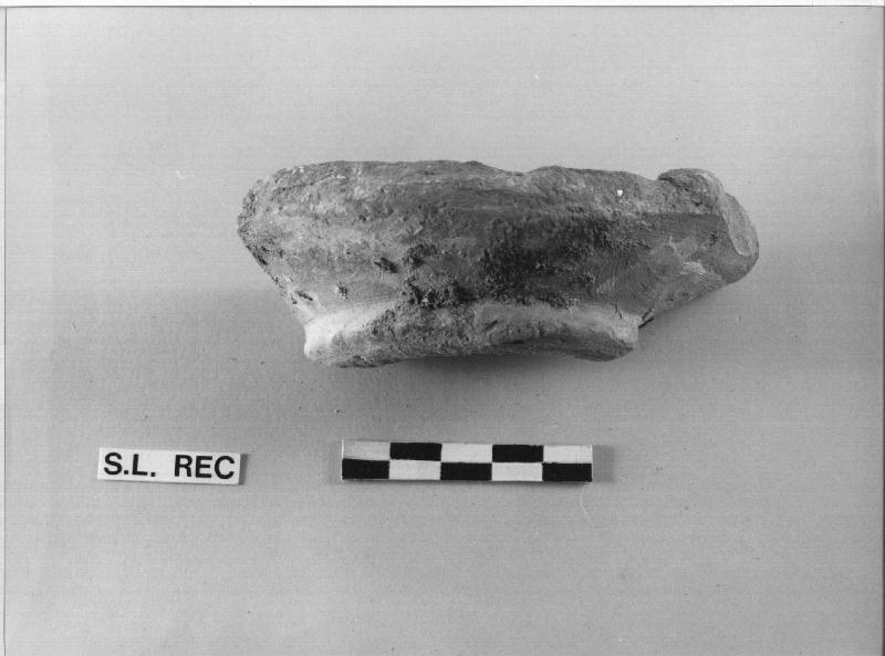 BACINO - MANNONI 67, frammento (secc. XV/ XVI)