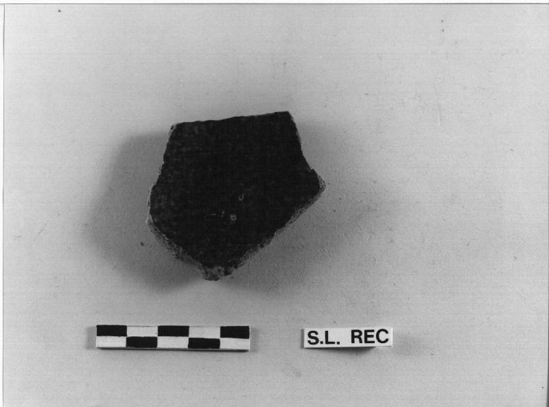 BACINO, frammento (Secc. XIV/ XVI)