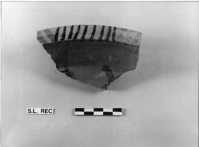 BACINO - MANNONI 84, frammento (secc. XIV/ XV)