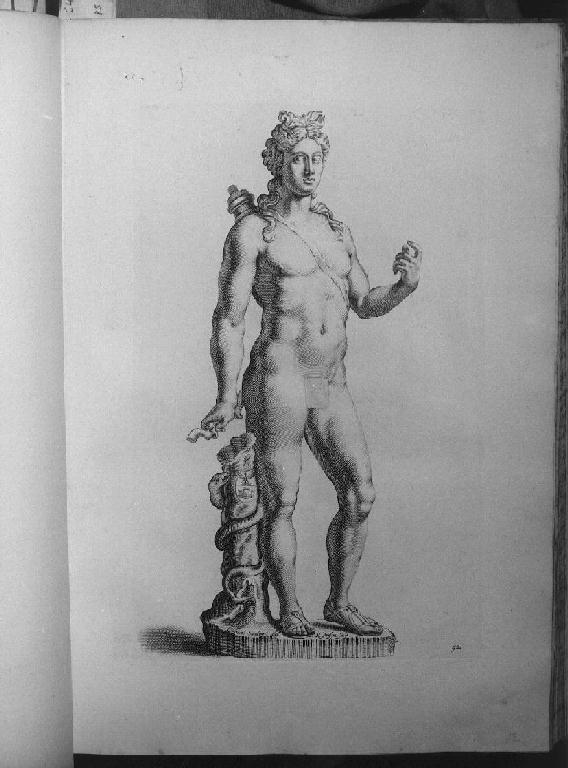 APOLLO (stampa, elemento d'insieme) di Von Sandrart Joachim, Van Persyn Reinier (sec. XVII)