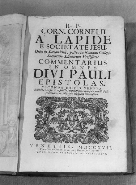 motivi decorativi vegetali stilizzati (stampa) - PRODUZIONE VENETA (primo quarto sec. XVIII)