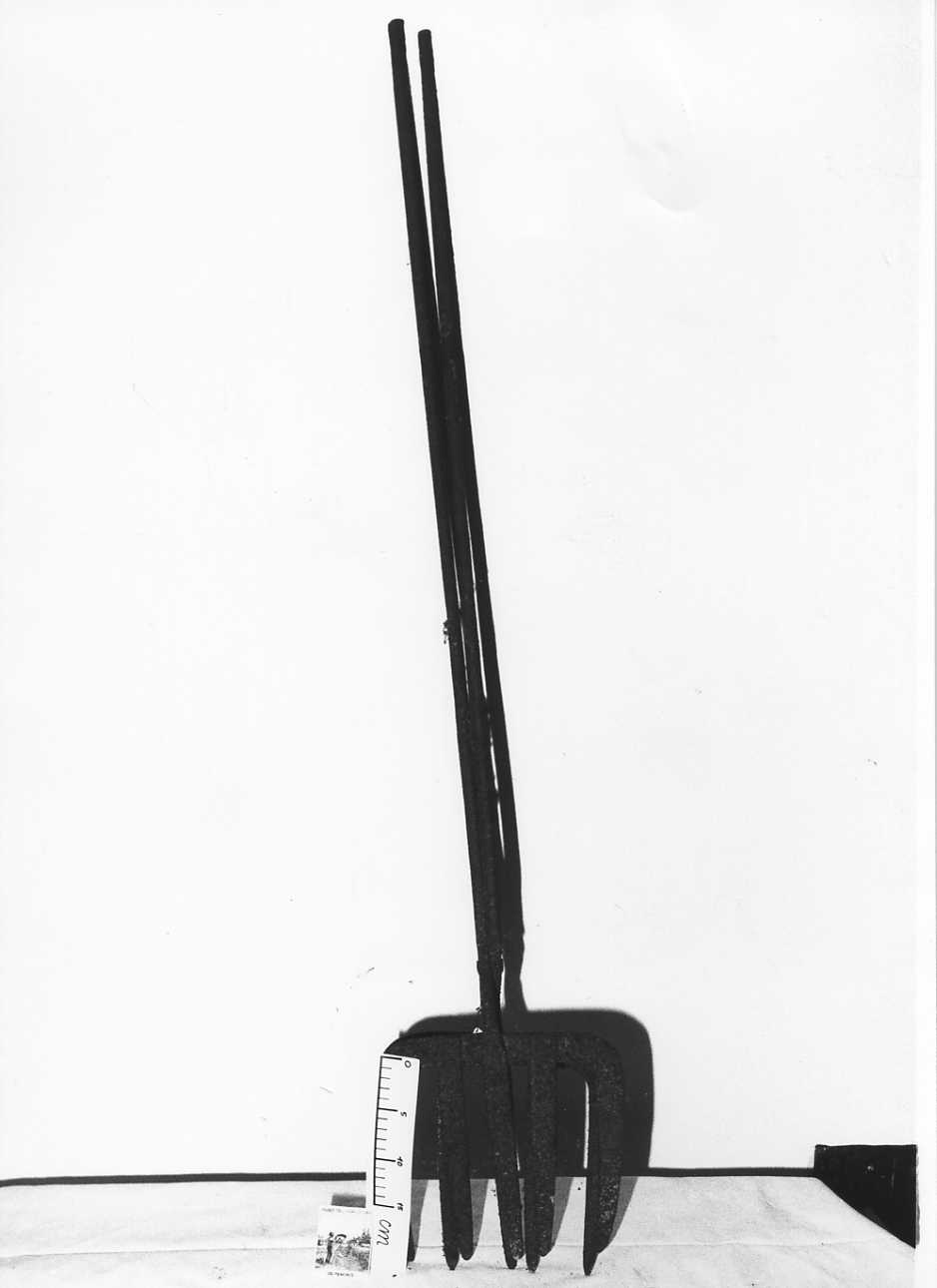 pinza, per vinacce - produzione piemontese (1930/ 1950)