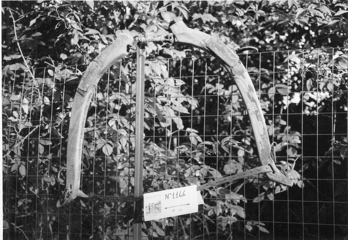 giogo, per cavalli - produzione piemontese (1950 ante)