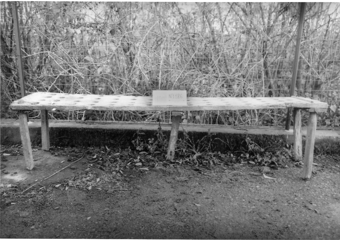 scolabottiglie - produzione italiana (1950 ante)