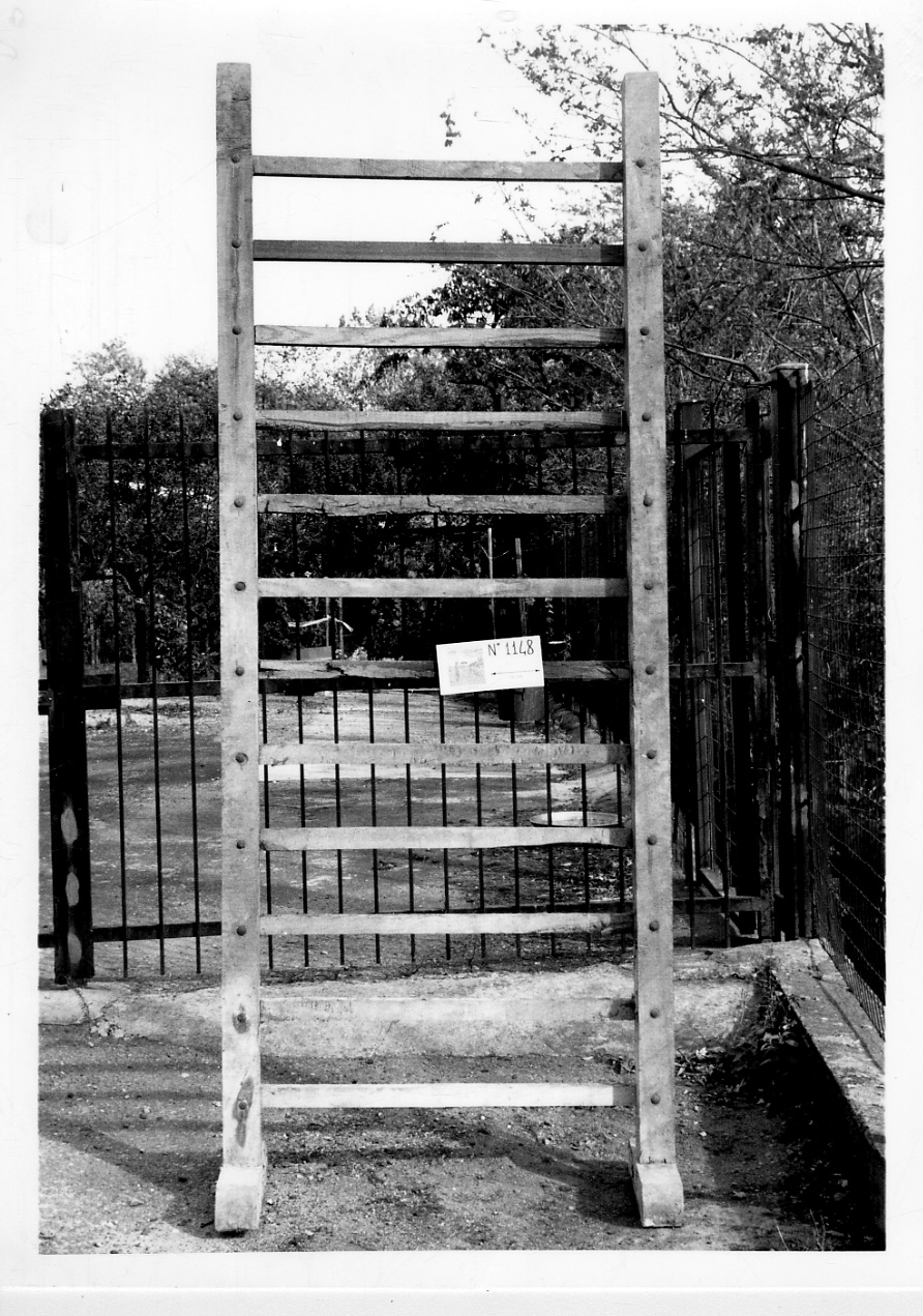 spalliera - produzione piemontese (1950 ante)