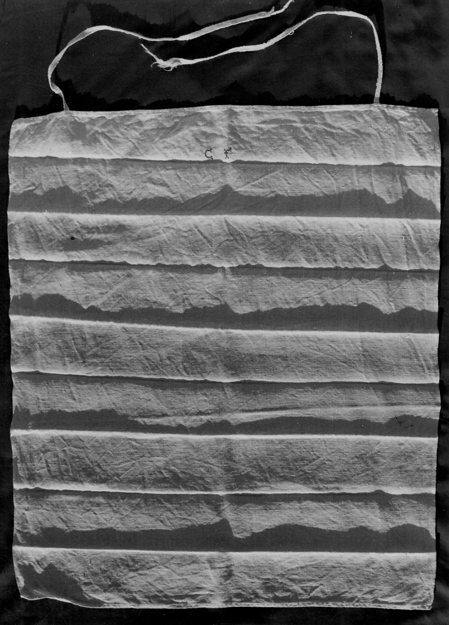 grembiule di Cane Candida (contadina) - ambito piemontese (1925 ca)