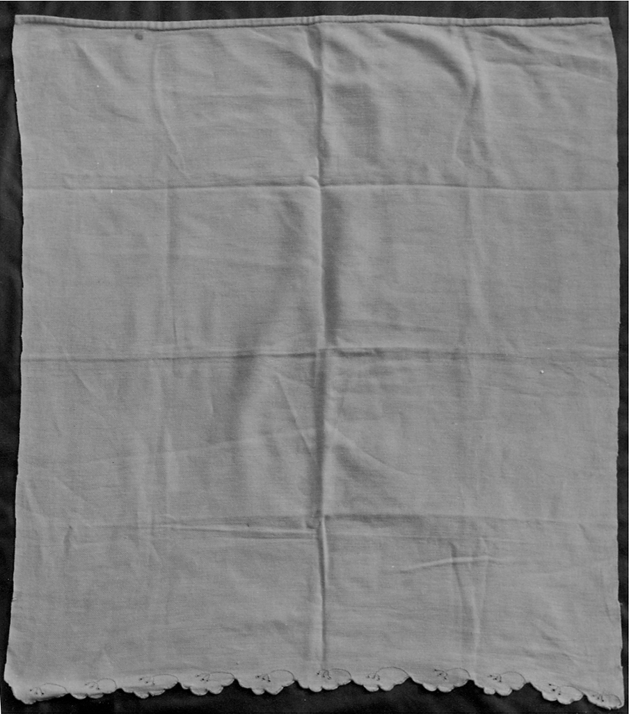 motivi decorativi vegetali stilizzati (coperta) di Cane Paola (contadina) - ambito piemontese (1892 ca)