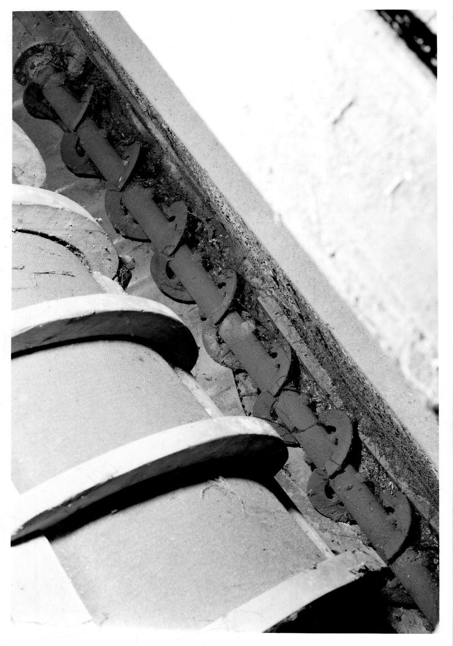 coclea - produzione torinese (sec. XX)