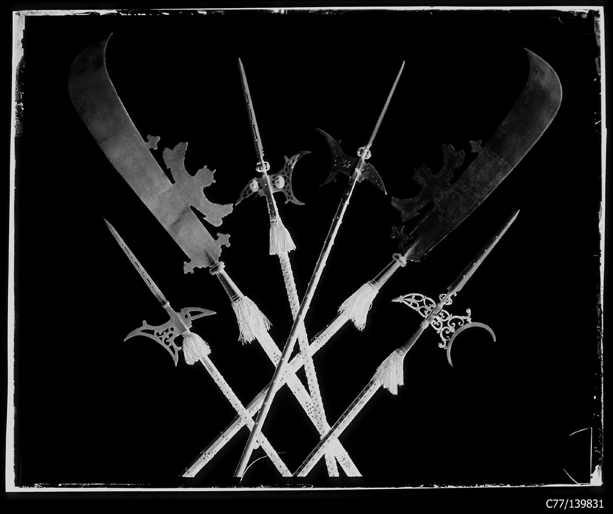 Torino - Armeria Reale - Armi inastate - Alabarde - Falcioni - J1 - J3 - J7 - J8 - J151 - J152 (negativo) di Anonimo (studio), Berra Bussolino Celestina - Berra Favale Gustava (studio) (XIX)