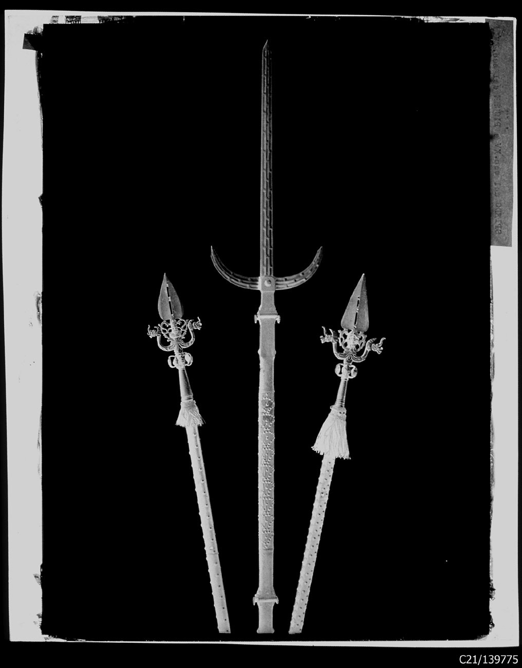 Torino - Armeria Reale - Armi inastate - Picche - Spiedi - J237 - J261 - J262 (Y237 - Y261 - Y262) (negativo) di Anonimo (studio), Berra Bussolino Celestina - Berra Favale Gustava (studio) (XIX)